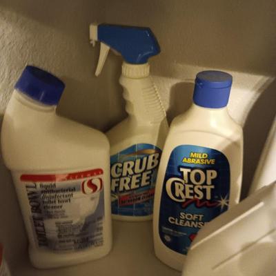 HOUSEHOLD CLEANING CHEMICALS, RAGS AND BUCKET