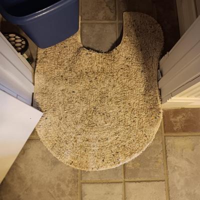 HOUSEHOLD CLEANING CHEMICALS, RAGS AND BUCKET