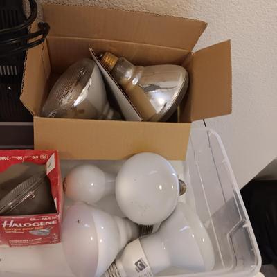 NEW TRACKLIGHT FLOOD LIGHTS, NEW MOTION SENSOR LIGHTS, BLACK LIGHT AND MORE