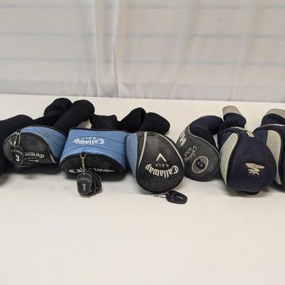 Cobra & Hawkeye Golf Clubs