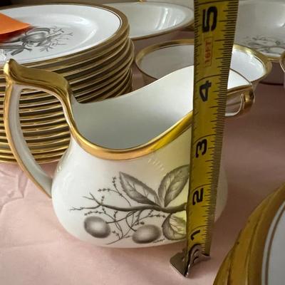61 Piece Spode Chatham Y.5280 China Dinner Set