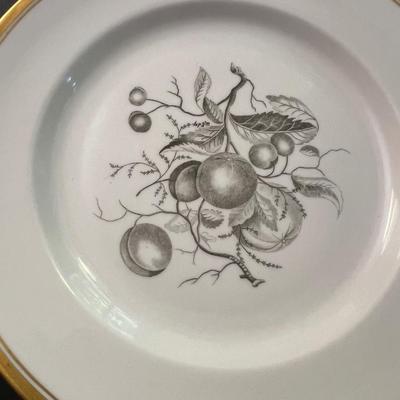 61 Piece Spode Chatham Y.5280 China Dinner Set