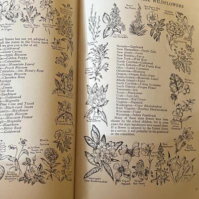 Lot of 26 Vintage Book of Knowledge & Supplements c. 1934