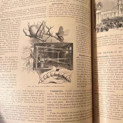11 Antique Books c. 1800's
