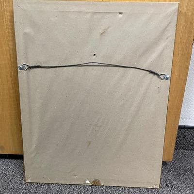 Elvis Presley Photo: X-ray for the Army Matted and Framed