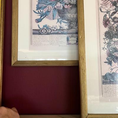 Set of 6 Framed Floral Art from the Collection of Rob Ferber Gardenier at Kensington 1730- 17.5" x 21.5"