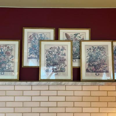 Set of 6 Framed Floral Art from the Collection of Rob Ferber Gardenier at Kensington 1730- 17.5" x 21.5"