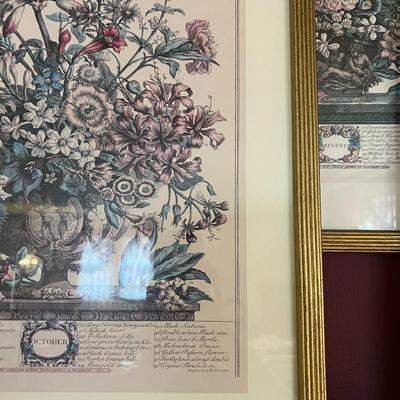 Set of 6 Framed Floral Art from the Collection of Rob Ferber Gardenier at Kensington 1730- 17.5" x 21.5"