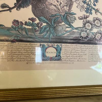 Set of 6 Framed Floral Art from the Collection of Rob Ferber Gardenier at Kensington 1730- 17.5" x 21.5"