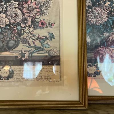 Set of 6 Framed Floral Art from the Collection of Rob Ferber Gardenier at Kensington 1730- 17.5" x 21.5"