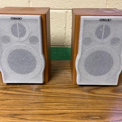 Sony Stereo System w/ Sony Cabinet