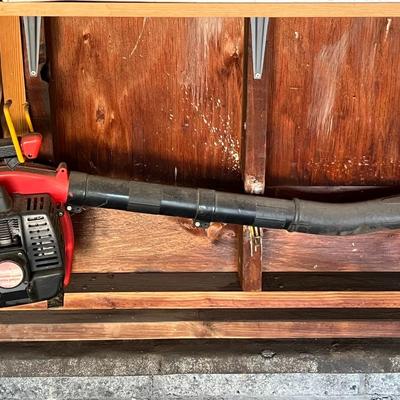 Agway Gas Powered Blower Model GB100