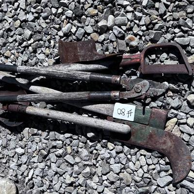 Brush Hook and Loppers  