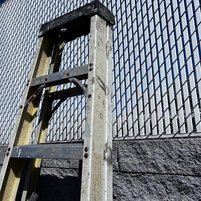 8" Step Ladder