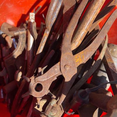 Bucket full of Rusty Tools  
