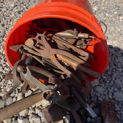 Bucket full of Rusty Tools  