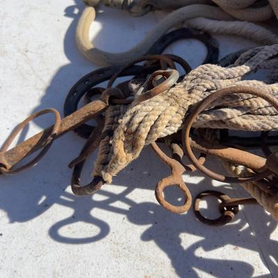 Horse Tac, Bits and Ropes