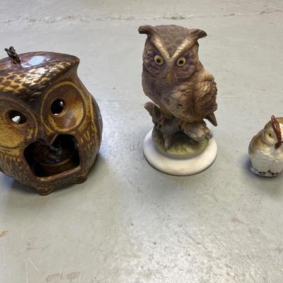 Owl lot