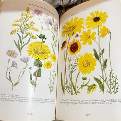 Antique National Geographic Magazine Lot c 1924-30