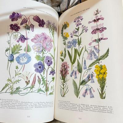 Antique National Geographic Magazine Lot c 1924-30