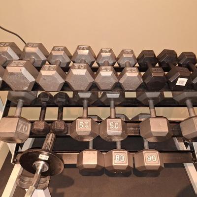 Free Weights - Full Set