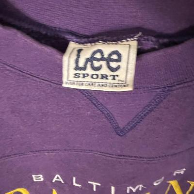 Redskins, Ravens, Colts, Nationals Fan Sports Gear Lot - DC, Baltimore