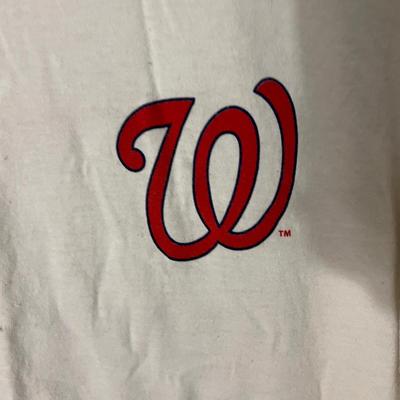 Redskins, Ravens, Colts, Nationals Fan Sports Gear Lot - DC, Baltimore