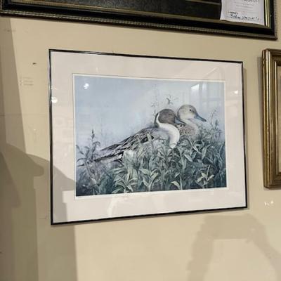 Duck print framed