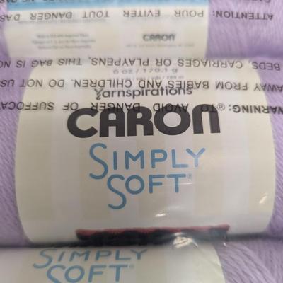Carson Simply Soft Yarn - Orchid 2 - Three Packs (#6)