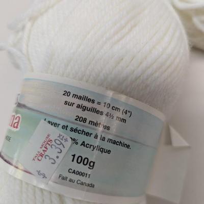Patons Canadiana Knitting Worsted Yarn - White - (#27)