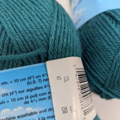 Patons Canadiana Knitting Worsted Yarn/Wool - Various Colors (#28)