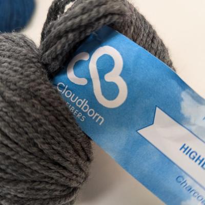 Cloudborn LE Alpaca Silk Wool Worsted - Various Colors - (#30)