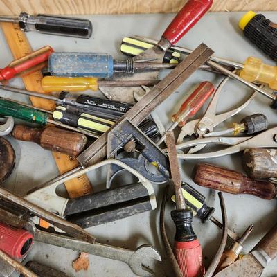 Another Large Table Lot of Tools plus Roughneck Tote Stanley Planes