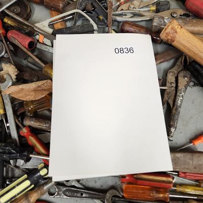 Another Large Table Lot of Tools plus Roughneck Tote Stanley Planes