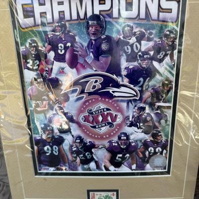 Baltimore Ravens Lot 1