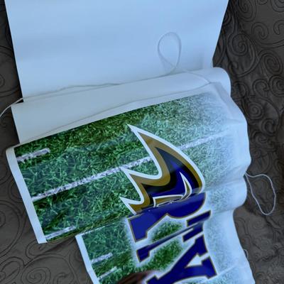 Baltimore Ravens Lot 4