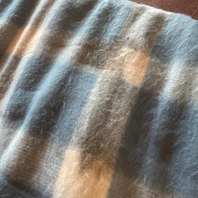 Car heated throw