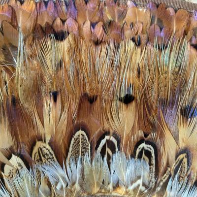 Vintage Pheasant Hat