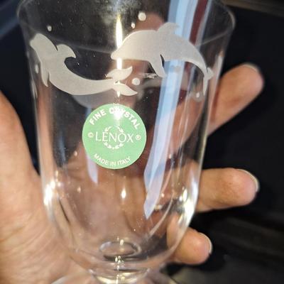 Etched Dolphin Glass