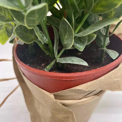 Small Artificial Potted Plant