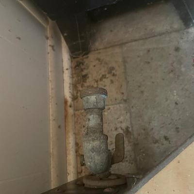 Vintage gas heater insert