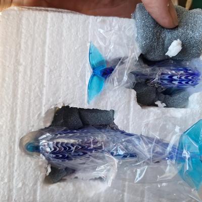 Deep blue Dolphins
