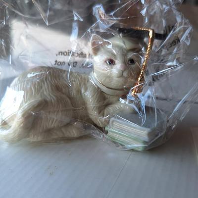 Graduation Day Kitty