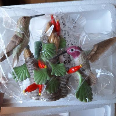 Anne Hummingbirds