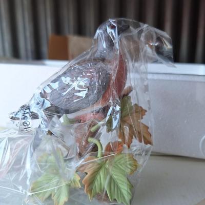 Passanger Pigeon