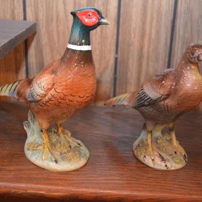 Norcrest Birds