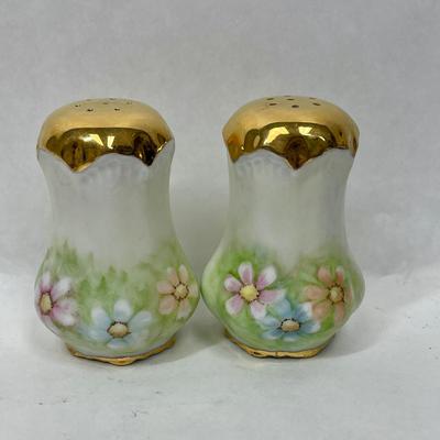 Vintage Hand-painted Salt & Pepper Shakers Porcelain Ceramic