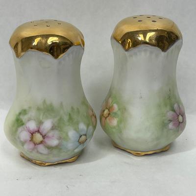 Vintage Hand-painted Salt & Pepper Shakers Porcelain Ceramic