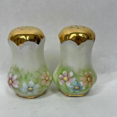 Vintage Hand-painted Salt & Pepper Shakers Porcelain Ceramic