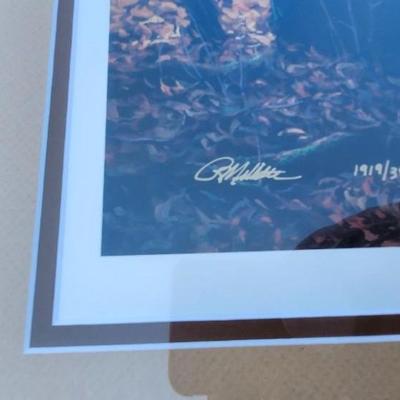 Wall Art, Duck Unlimited and Signed /numbered art